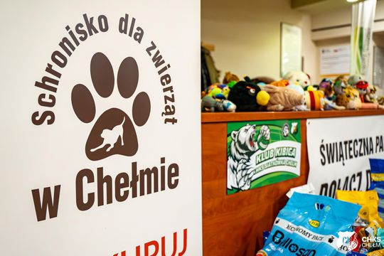 CHKS Chełm vs STS Olimpiia Sulęcin [GALERIA ZDJĘĆ]