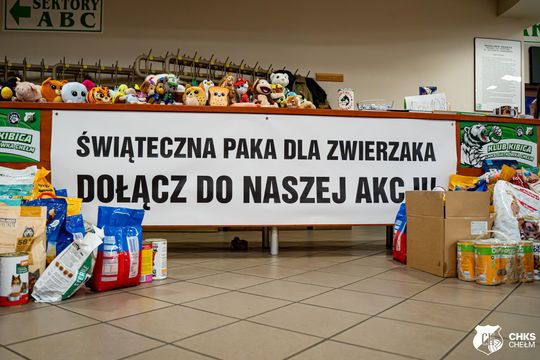 CHKS Chełm vs STS Olimpiia Sulęcin [GALERIA ZDJĘĆ]