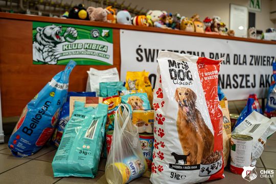 CHKS Chełm vs STS Olimpiia Sulęcin [GALERIA ZDJĘĆ]