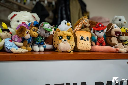 CHKS Chełm vs STS Olimpiia Sulęcin [GALERIA ZDJĘĆ]