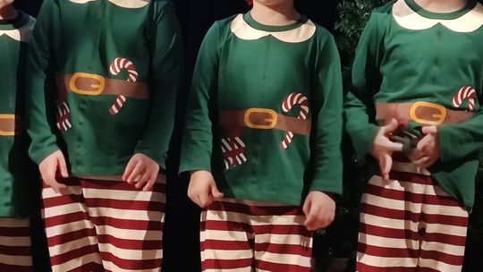 IV Charytatywny Przegląd Kolęd, Pastorałek i Piosenek Świątecznych [GALERIA ZDJĘĆ]