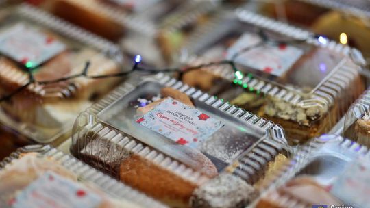 Koncert charytatywny "Razem możemy więcej" w Wierzbicy [GALERIA ZDJĘĆ]