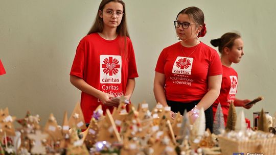 Koncert charytatywny "Razem możemy więcej" w Wierzbicy [GALERIA ZDJĘĆ]