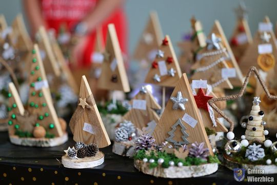 Koncert charytatywny "Razem możemy więcej" w Wierzbicy [GALERIA ZDJĘĆ]