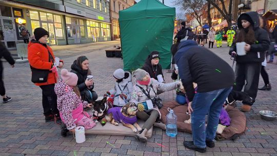 Chełm. Wigilia Wszystkich Chełmian 2024 [GALERIA ZDJĘĆ]