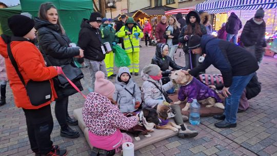 Chełm. Wigilia Wszystkich Chełmian 2024 [GALERIA ZDJĘĆ]