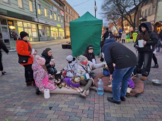 Chełm. Wigilia Wszystkich Chełmian 2024 [GALERIA ZDJĘĆ]