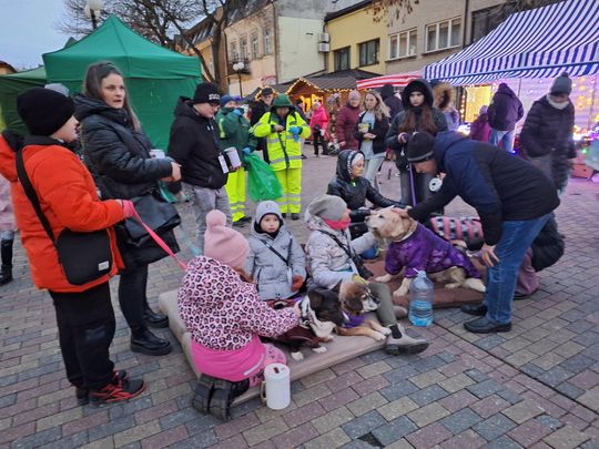 Chełm. Wigilia Wszystkich Chełmian 2024 [GALERIA ZDJĘĆ]