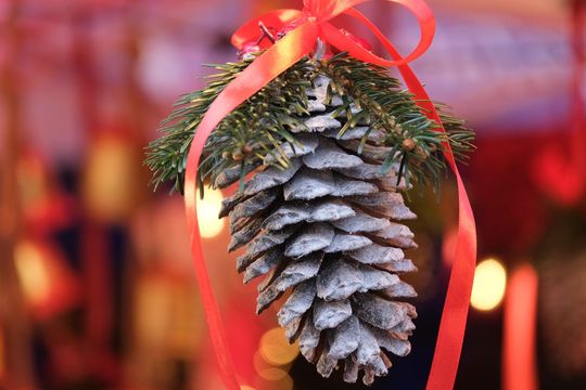 Chełm. Wschodni Jarmark Bożonarodzeniowy [GALERIA ZDJĘĆ]