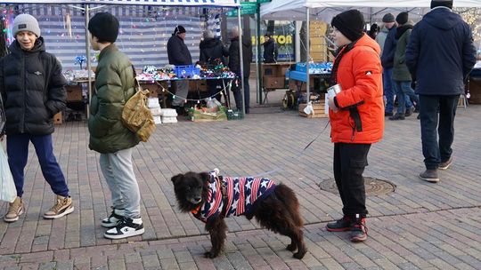 Chełm. Wschodni Jarmark Bożonarodzeniowy - dzień drugi [ZDJĘCIA]