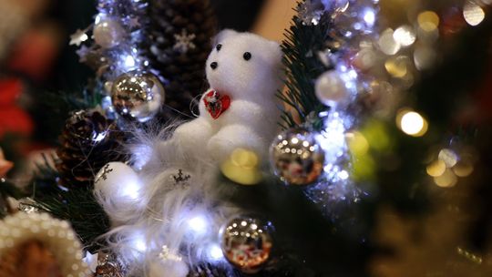 Gm. Leśniowice. III Jarmark Bożonarodzeniowy połączony z koncertem charytatywnym „Gramy dla Neli” [GALERIA ZDJĘĆ]