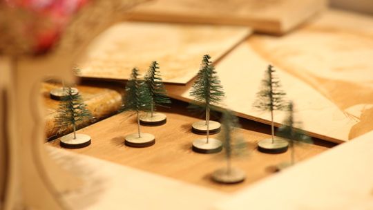 Gm. Leśniowice. III Jarmark Bożonarodzeniowy połączony z koncertem charytatywnym „Gramy dla Neli” [GALERIA ZDJĘĆ]