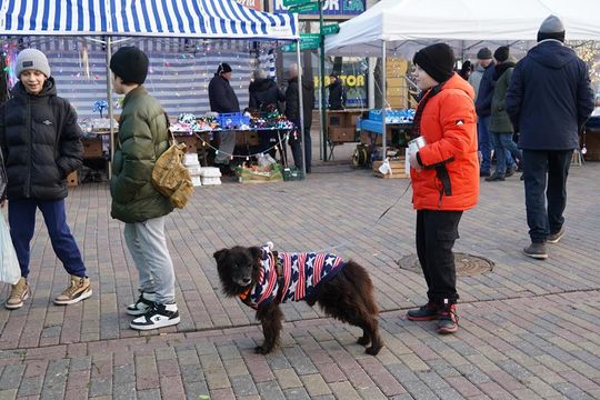 Chełm. Wschodni Jarmark Bożonarodzeniowy - dzień drugi [ZDJĘCIA]