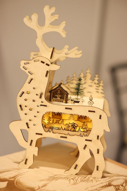 Gm. Leśniowice. III Jarmark Bożonarodzeniowy połączony z koncertem charytatywnym „Gramy dla Neli” [GALERIA ZDJĘĆ]