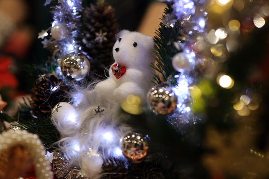 Gm. Leśniowice. III Jarmark Bożonarodzeniowy połączony z koncertem charytatywnym „Gramy dla Neli” [GALERIA ZDJĘĆ]