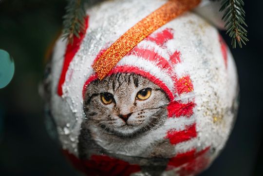 Gminna Wiglia w Sawinie [GALERIA ZDJĘĆ]