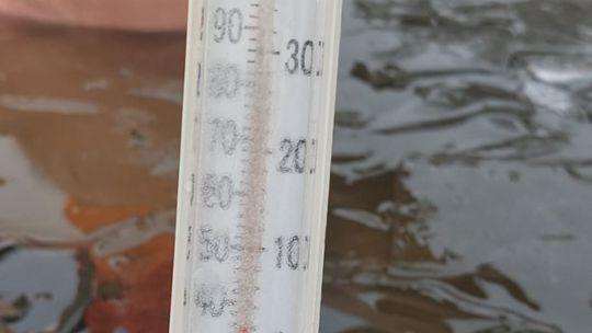 Klub Morsów - Krasnostawskie Karpie podczas świątecznej kąpieli [GALERIA ZDJĘĆ]