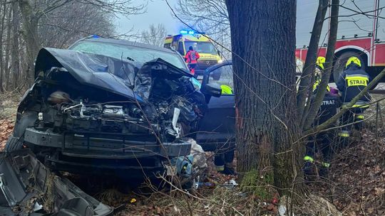 Auto osobowe uderzyło w drzewo w Jamnikach [GALERIA ZDJĘĆ]
