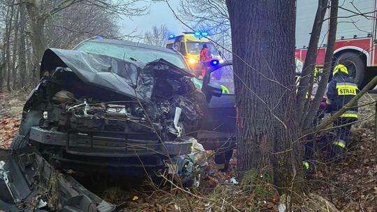 Auto osobowe uderzyło w drzewo w Jamnikach [GALERIA ZDJĘĆ]