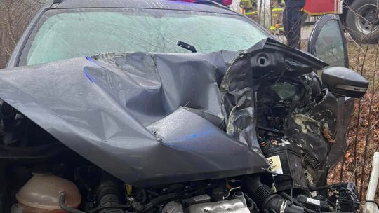 Auto osobowe uderzyło w drzewo w Jamnikach [GALERIA ZDJĘĆ]