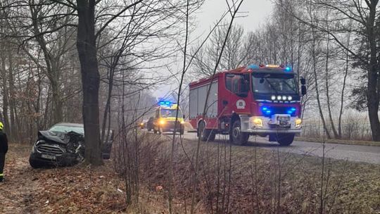 Auto osobowe uderzyło w drzewo w Jamnikach [GALERIA ZDJĘĆ]