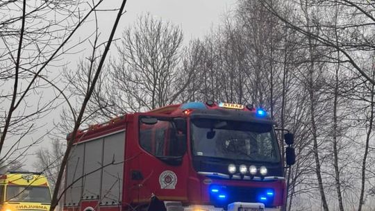 Auto osobowe uderzyło w drzewo w Jamnikach [GALERIA ZDJĘĆ]