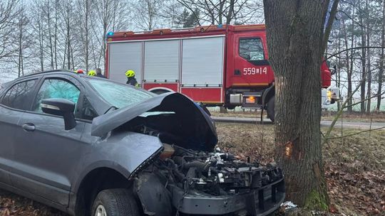Auto osobowe uderzyło w drzewo w Jamnikach [GALERIA ZDJĘĆ]