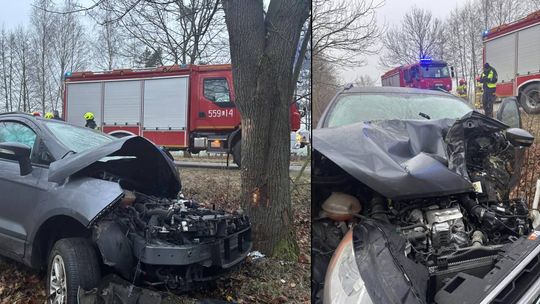 Auto osobowe uderzyło w drzewo w Jamnikach [GALERIA ZDJĘĆ]