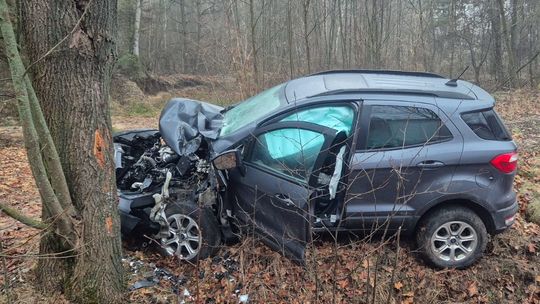 Auto osobowe uderzyło w drzewo w Jamnikach [GALERIA ZDJĘĆ]