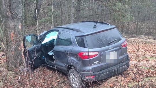 Auto osobowe uderzyło w drzewo w Jamnikach [GALERIA ZDJĘĆ]