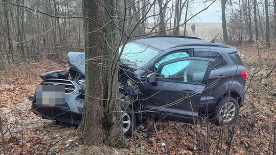 Auto osobowe uderzyło w drzewo w Jamnikach [GALERIA ZDJĘĆ]