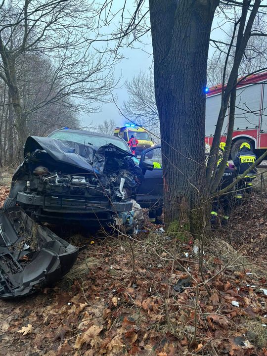 Auto osobowe uderzyło w drzewo w Jamnikach [GALERIA ZDJĘĆ]
