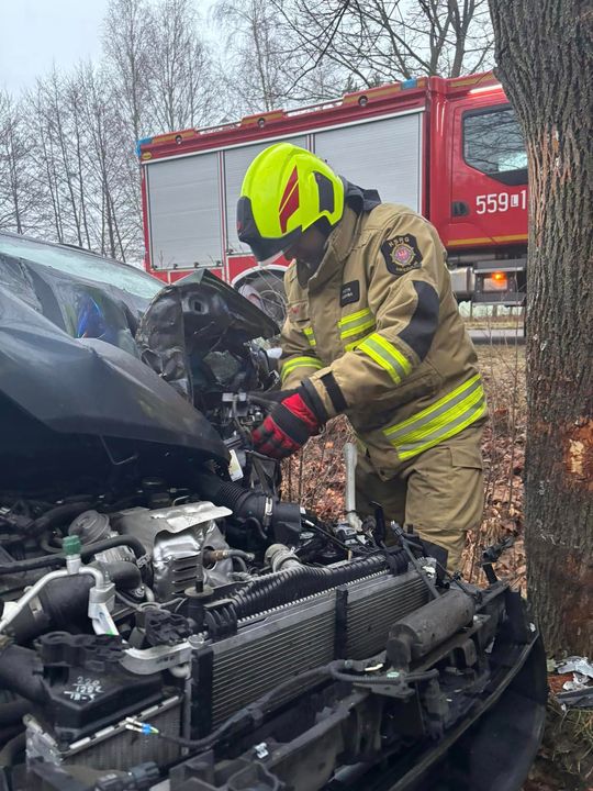 Auto osobowe uderzyło w drzewo w Jamnikach [GALERIA ZDJĘĆ]