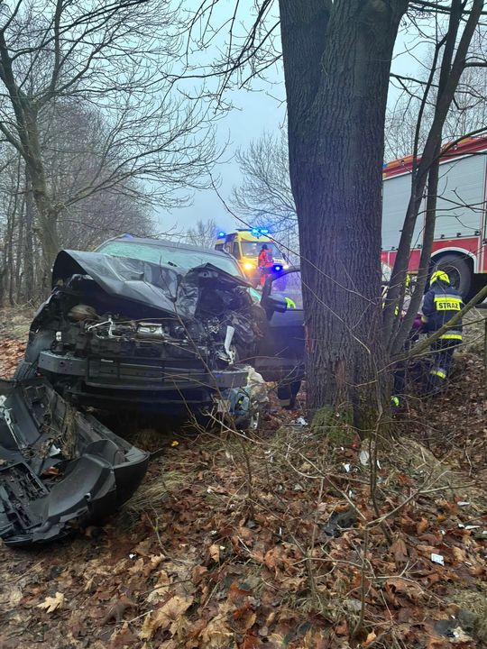 Auto osobowe uderzyło w drzewo w Jamnikach [GALERIA ZDJĘĆ]