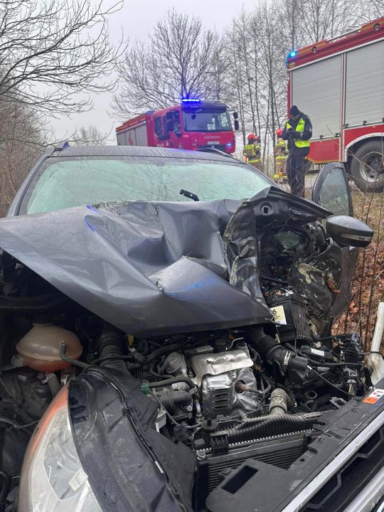 Auto osobowe uderzyło w drzewo w Jamnikach [GALERIA ZDJĘĆ]