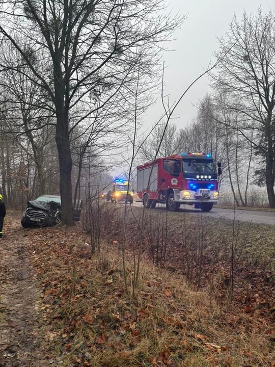 Auto osobowe uderzyło w drzewo w Jamnikach [GALERIA ZDJĘĆ]