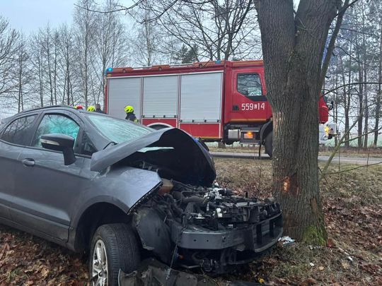 Auto osobowe uderzyło w drzewo w Jamnikach [GALERIA ZDJĘĆ]