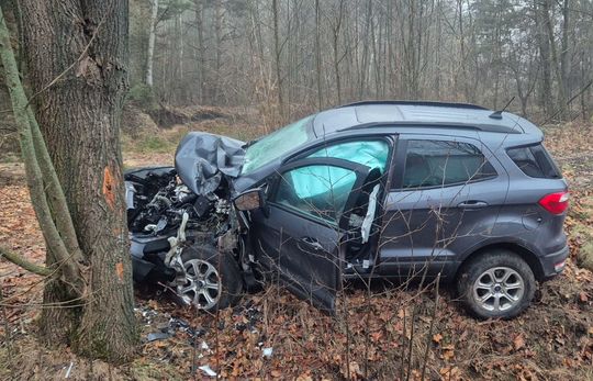 Auto osobowe uderzyło w drzewo w Jamnikach [GALERIA ZDJĘĆ]
