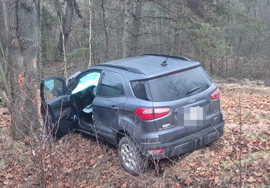 Auto osobowe uderzyło w drzewo w Jamnikach [GALERIA ZDJĘĆ]