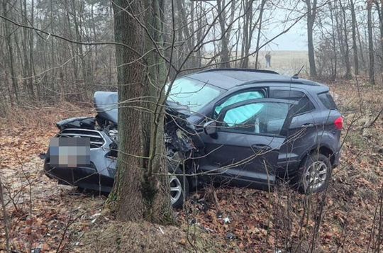 Auto osobowe uderzyło w drzewo w Jamnikach [GALERIA ZDJĘĆ]