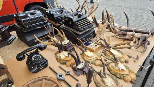 Targi staroci w Lublinie. Zobaczcie, jakie perełki można tu upolować [GALERIA ZDJĘĆ]