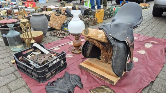 Targi staroci w Lublinie. Zobaczcie, jakie perełki można tu upolować [GALERIA ZDJĘĆ]