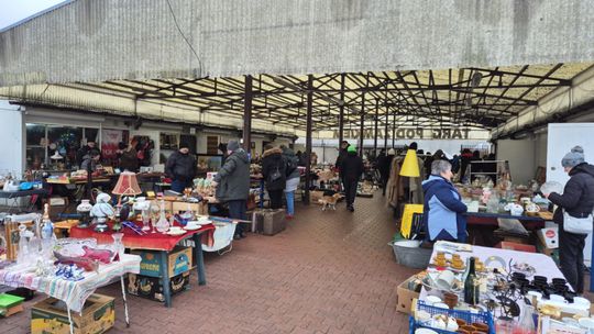 Targi staroci w Lublinie. Zobaczcie, jakie perełki można tu upolować [GALERIA ZDJĘĆ]