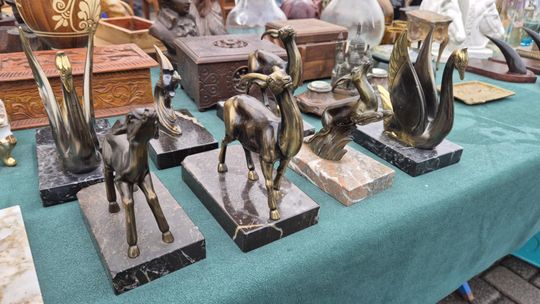 Targi staroci w Lublinie. Zobaczcie, jakie perełki można tu upolować [GALERIA ZDJĘĆ]