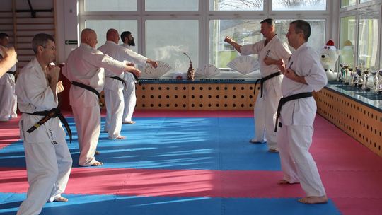 Sensei trenowali w dojo Satori [GALERIA ZDJĘĆ]