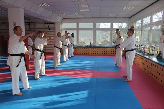 Sensei trenowali w dojo Satori [GALERIA ZDJĘĆ]