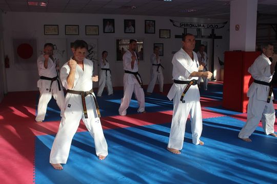 Sensei trenowali w dojo Satori [GALERIA ZDJĘĆ]