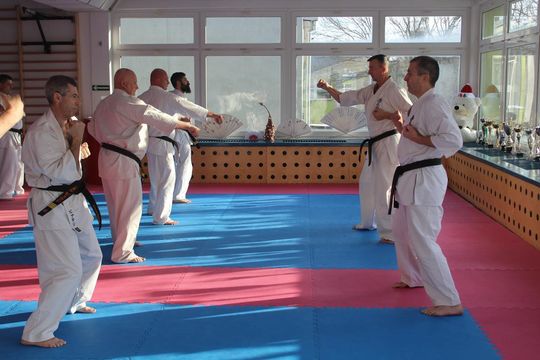 Sensei trenowali w dojo Satori [GALERIA ZDJĘĆ]