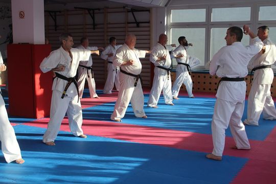 Sensei trenowali w dojo Satori [GALERIA ZDJĘĆ]