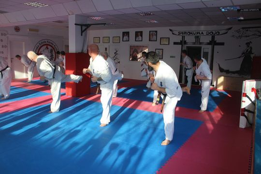 Sensei trenowali w dojo Satori [GALERIA ZDJĘĆ]